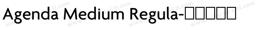 Agenda Medium Regula字体转换